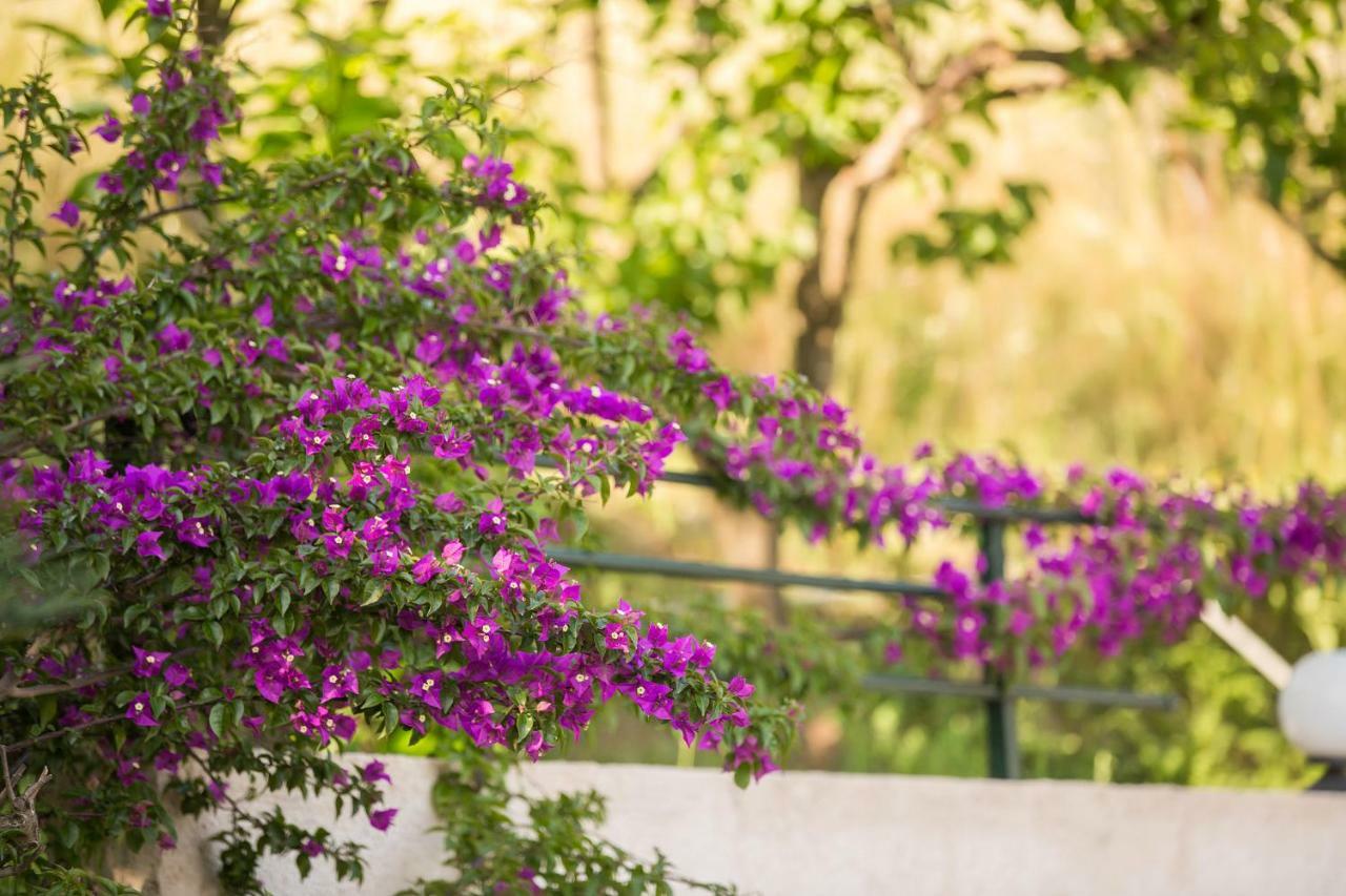 Natural Beauty Spot Ano Garouna Exterior foto
